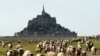 Sheep graze near the deserted Mont Saint-Michel in the French western region of Normandy during to slow the spread of the COVID-19 in France.