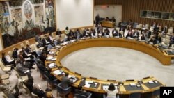 United Nations Security Council