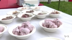 Annual Capitol Hill Ice Cream Party is a Sweet Treat
