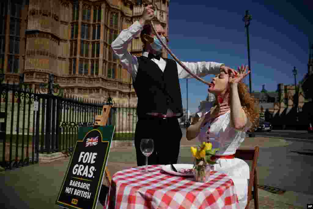 People for the Ethical Treatment of Animals activists pose during a protest stunt calling on the British government to ban the sale of foie gras, in London, April 23, 2021.