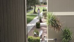 MIDTERMS SPECIAL IMMIGRATION DACA