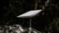 Esta fotografía tomada el 25 de septiembre de 2022 muestra una antena del sistema de banda ancha satelital Starlink donado por el multimillonario estadounidense Elon Musk en Izyum, región de Kharkiv, en medio de la invasión rusa de Ucrania.