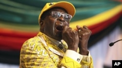 Zimbabwe President Robert Mugabe