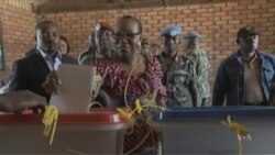 Central Africans in Diaspora Praise Recent CAR Elections