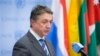 UN Security Council Urges Restraint in Ukraine