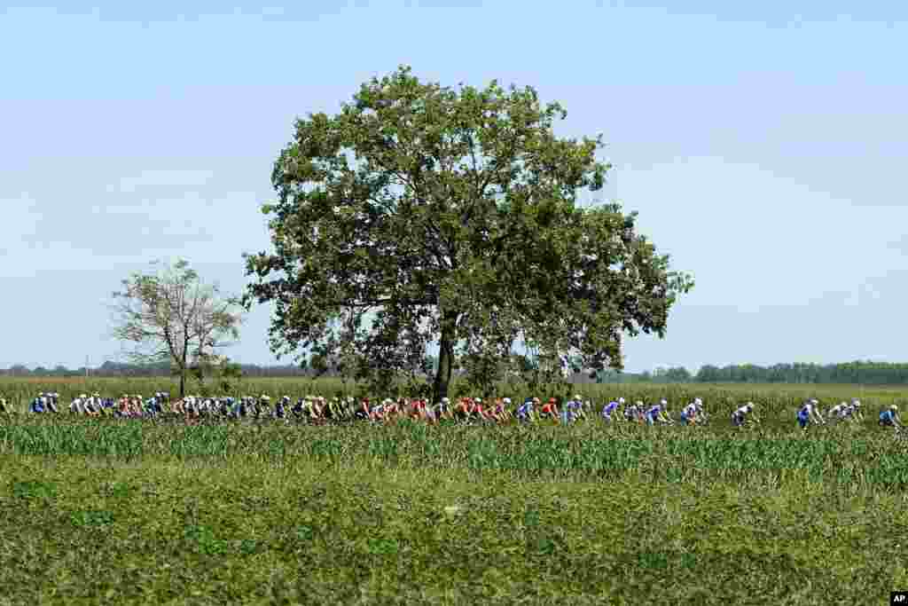 Cyclists ride through the countryside during the Milano Torino, a 198-kilometer race from Milan to Turin, in Milan, Italy.