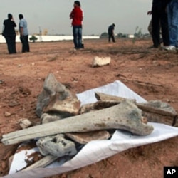 Bones pictured at the scene of a mass grave in Tripoli, September 25, 2011.