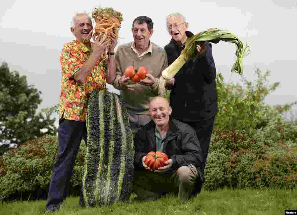 Ian Neale of Newport (L) with his first prize giant carrot, Graham Tranter (2ndL) of Bridgnorth 4th place tomato, Joe Atherton of Mansfield (3rdL) 1st place tomato and Graham Walford of Bridgnorth 4th place leek pose for a photograph during the first day at the Autumn flower show in Harrogate, northern England.