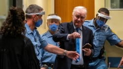 The Netherlands, Hague, Former Bosnian Serb military leader Ratko Mladic stands prior to the pronouncement of his appeal judgement at the UN International Residual Mechanism for Criminal Tribunals