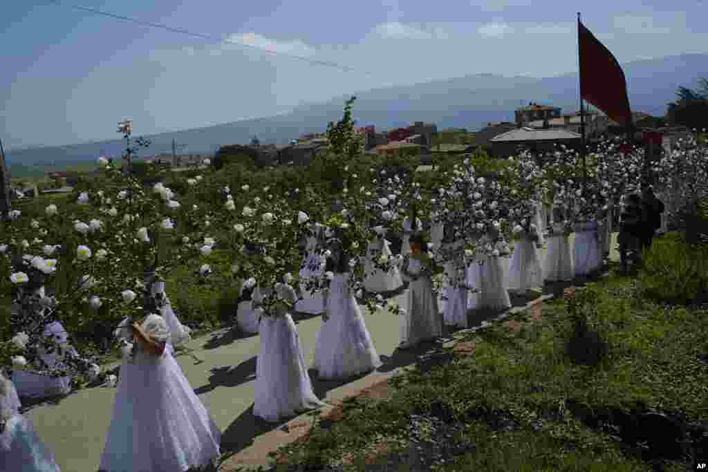 &quot;Las Doncellas&quot; (maidens) dressed in bridal white, carrying flowers, take part in the pilgrimage &quot;The Maidens&quot;, in Sorzano, northern Spain.