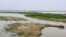 ফরিদপুরে পানিতে তলিয়ে গেছে ফসল