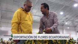 Mejora en venta de flores 