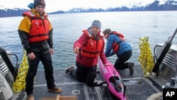 This May 4, 2022, photo shows oceanographers Andrew McDonnell, left, and Claudine Hauri, middle, along with engineer Joran Kemme after an underwater glider was pulled aboard the University of Alaska Fairbanks research vessel Nanuq from the Gulf of Alaska.