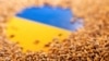 پنج کشور اروپایی به از سرگیری انتقال غلات اوکراین توافق کردند