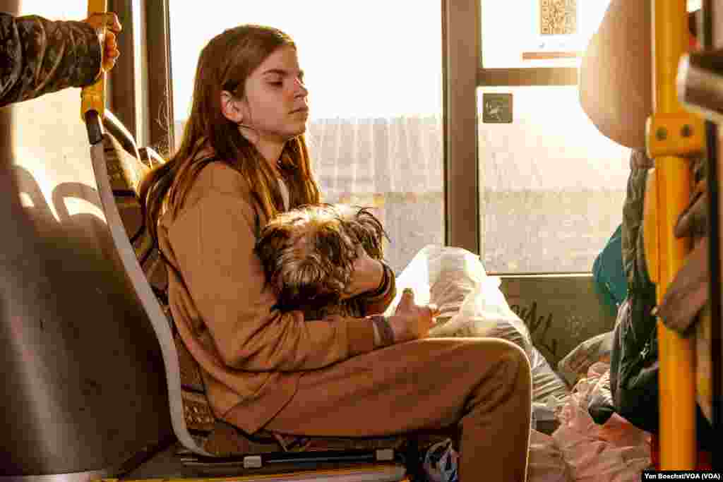 A girl who recently arrived from Mariupol waits in a bus with her dog to be taken to a hotel with her family in Zaporizhzhia, May 3, 2022. (Yan Boechat/VOA) 