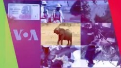 LiveTalk, Chivabvu 17, 2022