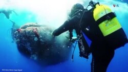 Ջրասուզակները Մայորկայի ափերից ազատել են թակարդված կետին.