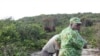 Luttant pour préserver sa faune, le Gabon se heurte aux mœurs et à la pauvreté