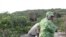 Des éléphants dans le parc Loango, au Gabon, le 15 mars 2022.
