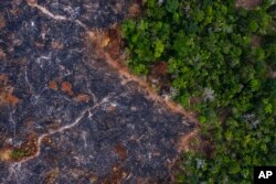 Area hutan hujan Amazon yang terbakar terlihat di Prainha. (Foto: AP)