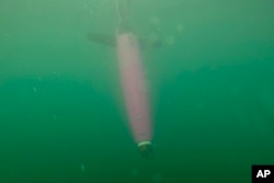 This April 28, 2022, photo provided by Andrew McDonnell shows an underwater glider in the Gulf of Alaska. (Andrew McDonnell via AP)