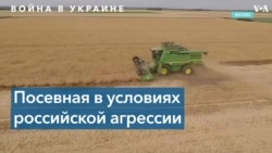У Украины достаточно запасов сельскохозяйственной продукции 