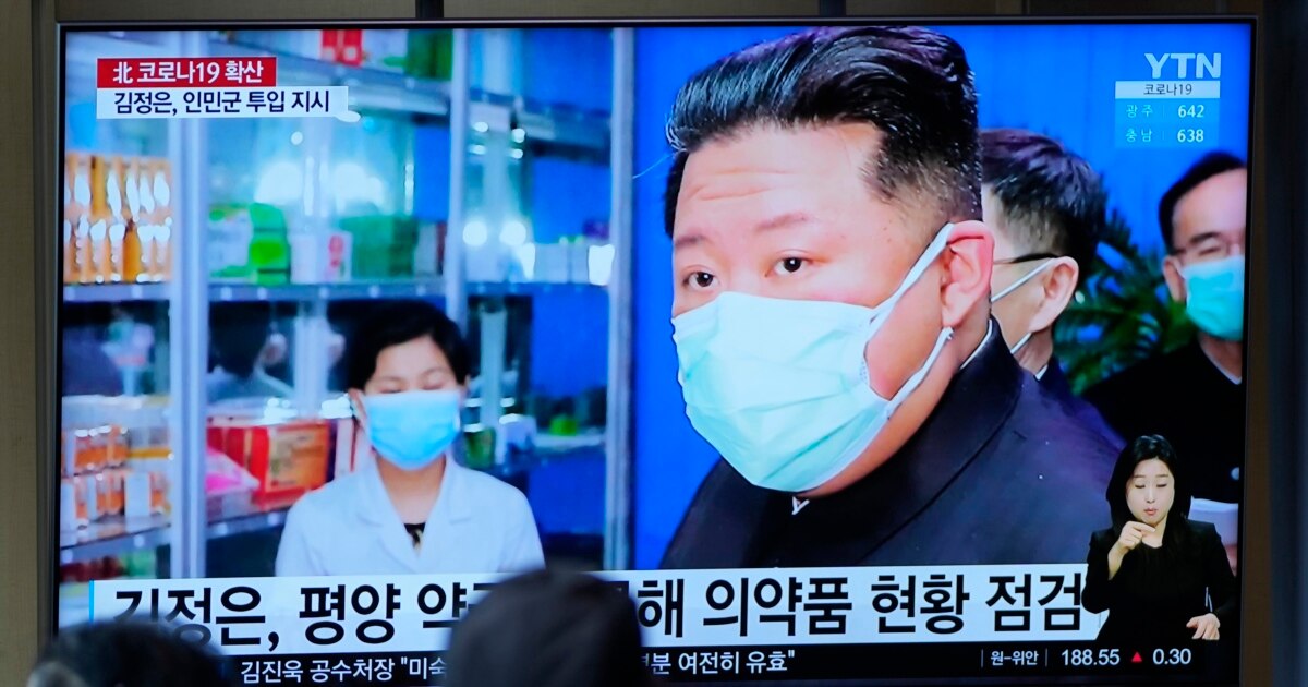 Experts: North Korea Likely to Dismiss International Anti-COVID Aid