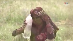 Հնդկաստանում բանվորները տուժում են շոգից. 