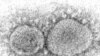 Dominant Coronavirus Mutant Contains Ghost of Pandemic Past