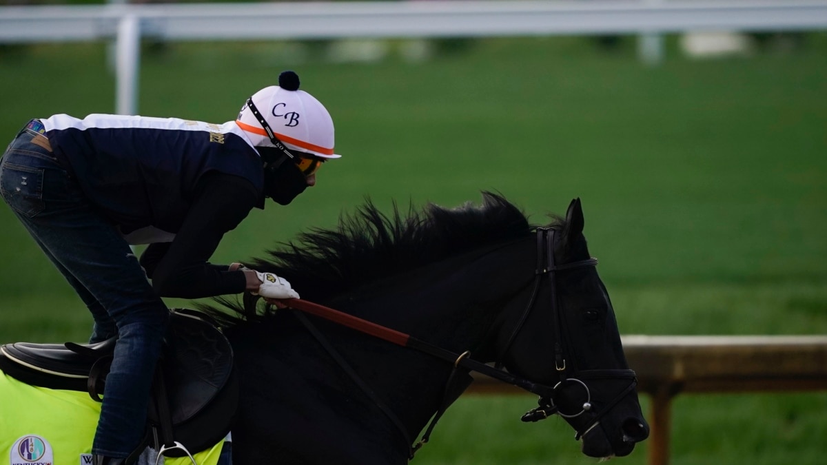 20 Horses, Full House: Kentucky Derby Returns with No Limits - Vimarsana News
