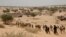 Près de 3.000 soldats ont été engagés dans ces actions aériennes, terrestres et navales.