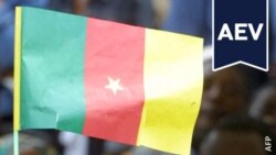 L'Amérique et vous : suspension des expulsions pour les Camerounais