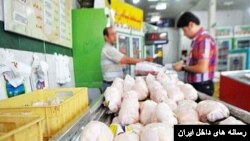 iran poultry market