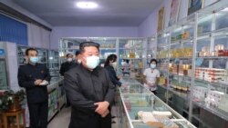 醫療資源匱乏北韓當局讓民眾飲用金銀花茶抗擊疫情
