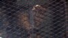 FILE - A suspect's hand is seen behind a defendant's cage during his trial in a court in Cairo, Egypt, July 28, 2018.