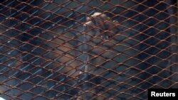 FILE - A suspect's hand is seen behind a defendant's cage during his trial in a court in Cairo, Egypt, July 28, 2018.