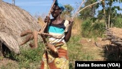 Mulheres moçambicanas devem ter acesso à terra, exigem activistas