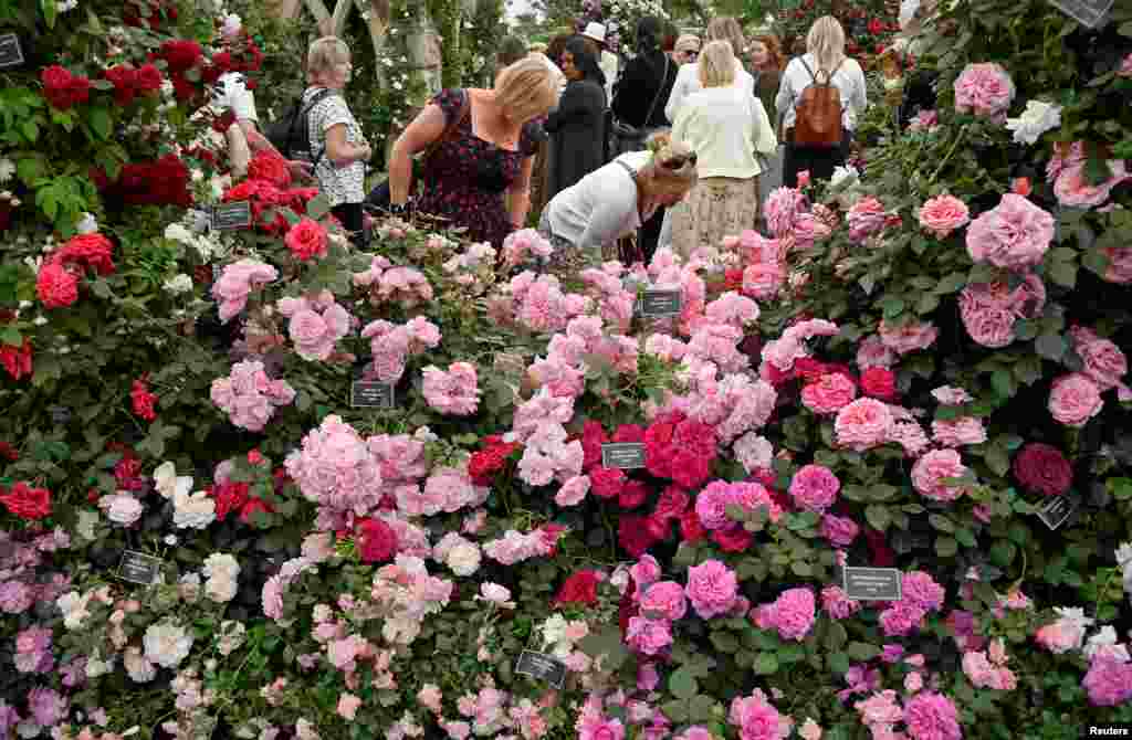 Visitors attend the Chelsea Flower Show in London.