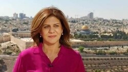EE.UU. Israel Palestina muerte periodista