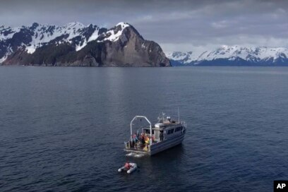 Officials Say Climate Change Is Starving Alaska's Salmon