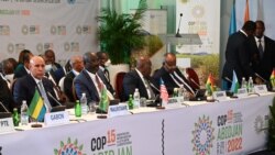 L'Ivoirien Alain Richard Donwahi élu président de la COP15
