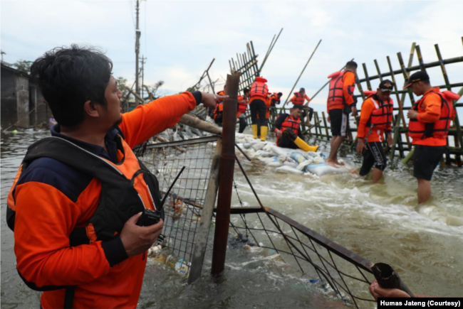 Tanggul jebol ada di tiga titik, dua selebar 20 meter dan satu selebar 8 meter. (Foto: Humas Jateng)