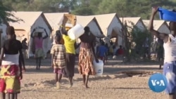 Refugees in Kenya Gain Employment Rights as New Law Takes Effect