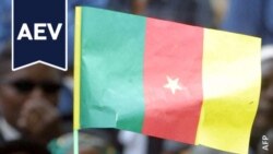 Transparency souhaite une enquête sur une affaire de pots-de-vin à Yaoundé