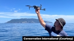 Pengamatan Pari Manta. Drone dimanfaatkan untuk memudahkan evaluasi populasi pari manta di Raja Ampat. (Dok Conservation International)