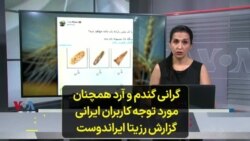 گرانی گندم و آرد همچنان مورد توجه کاربران ایرانی؛ گزارش رزیتا ایراندوست