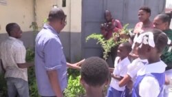 Responsab yo ann Ayiti lanse yon pwogram plante pye bwa nan okazyon fèt pye bwa yo semen pase a. Yves Manuel