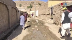 ډاکټر زرک خان مندوخېل: په افغانستان کې د د موثرو پولیو کمپېنونو د نه کېدو له امله پاکستان کې د پوليو دوه کېسونه رپوټ شوي 