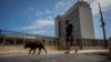 Un hombre y su perro pasan frente a la embajada de Estados Unidos el día después de que reabrió sus servicios consulares en La Habana, Cuba, el miércoles 4 de mayo de 2022.