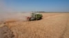 Severe Water Shortages Strain Wheat Harvest in Iraq 